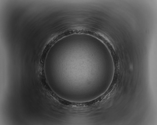 X0000097830823200803201456