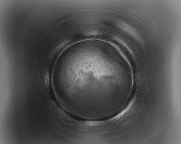 X0000097830825200803201456