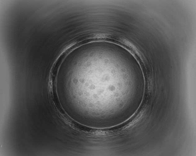 X0000097830827200803201456