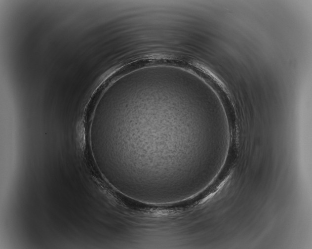 X0000097830829200803201456