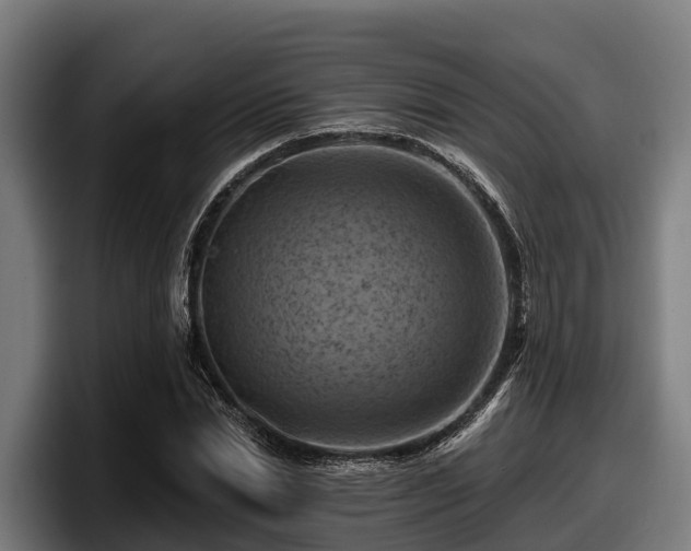 X0000097830830200803201456