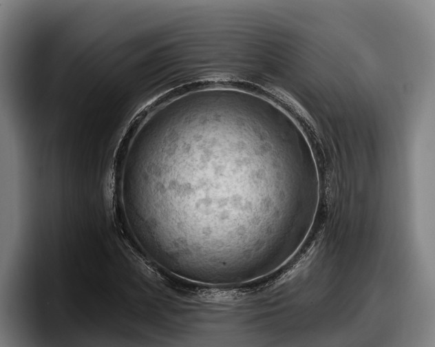 X0000097830831200803201456