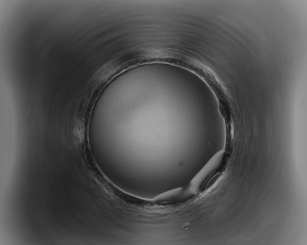 X0000097830833200803201456