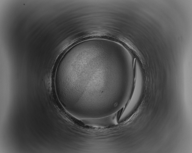 X0000097830834200803201456