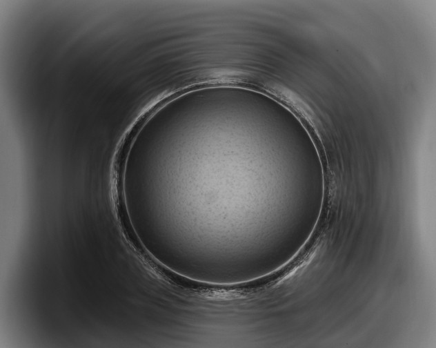 X0000097830835200803201456