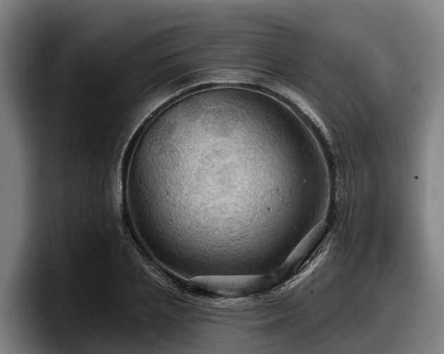 X0000097830837200803201456