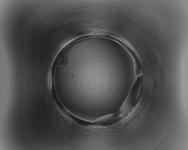 X0000097830838200803201456