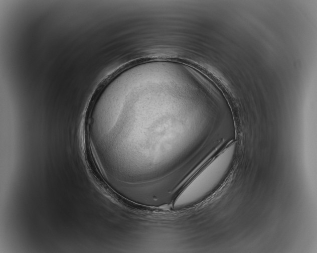 X0000097830840200803201456