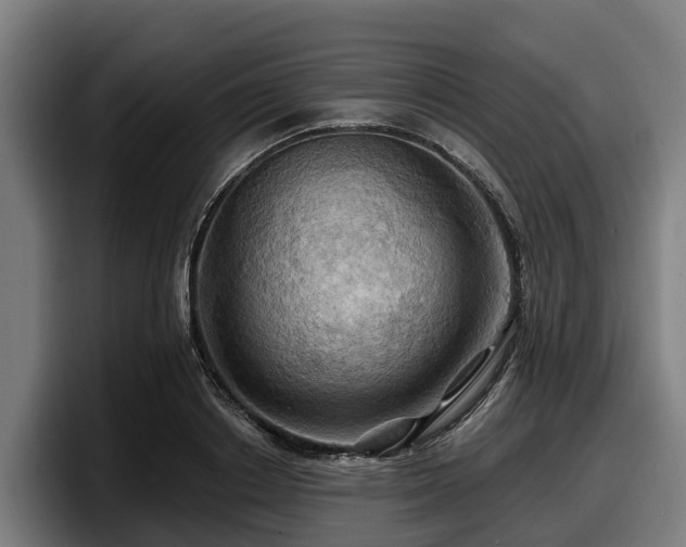 X0000097830842200803201456