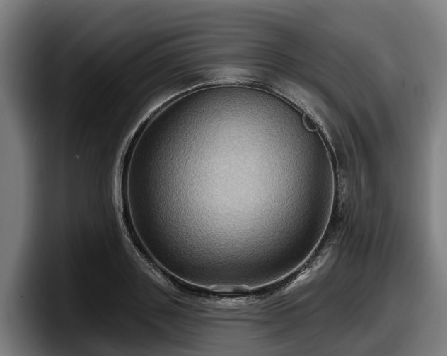 X0000097830843200803201456