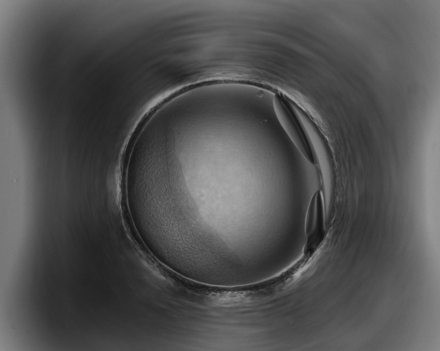 X0000097830846200803201456