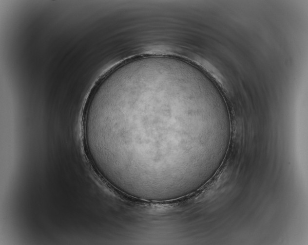 X0000097830848200803201456