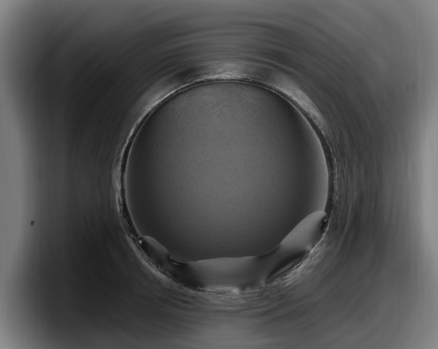 X0000097830850200803201456