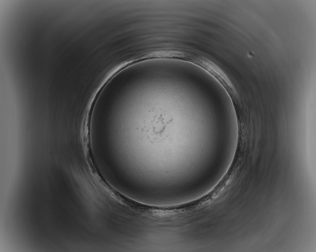 X0000097830852200803201456