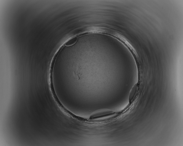 X0000097830853200803201456