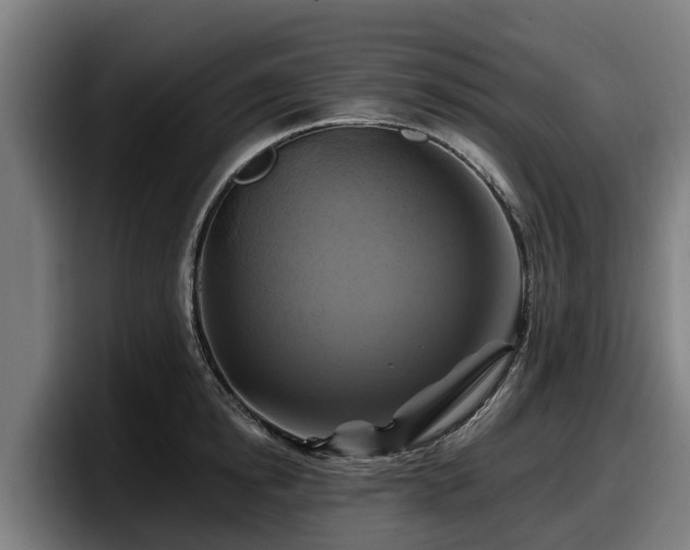 X0000097830854200803201456