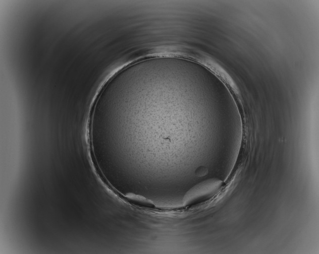 X0000097830855200803201456