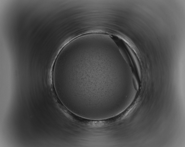 X0000097830858200803201456