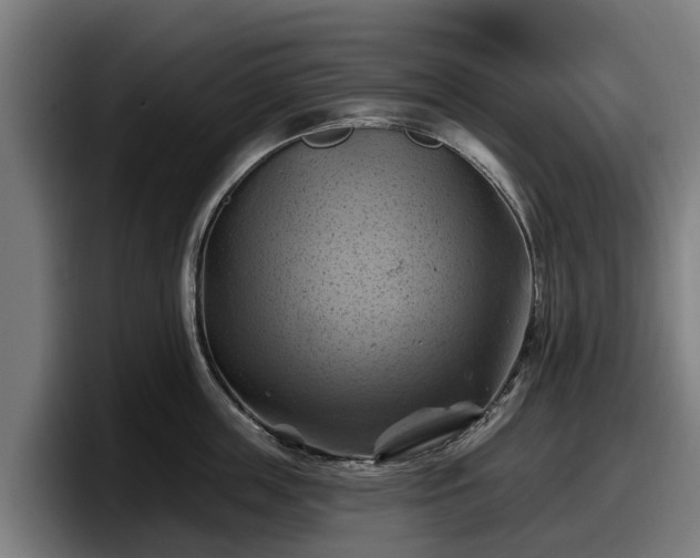X0000097830859200803201456