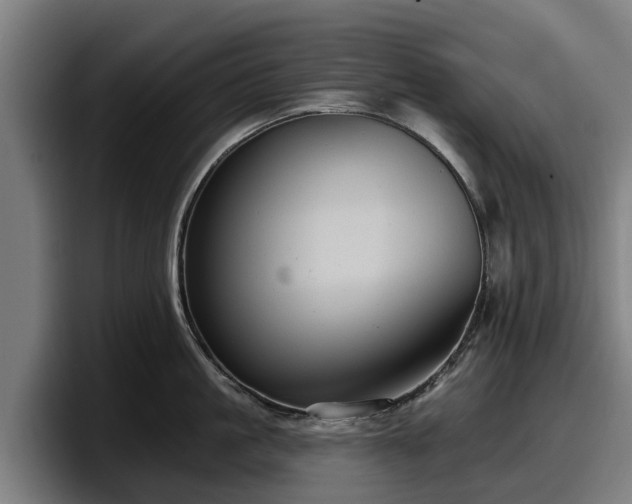 X0000097830861200803201456