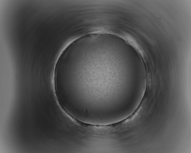 X0000097830863200803201456