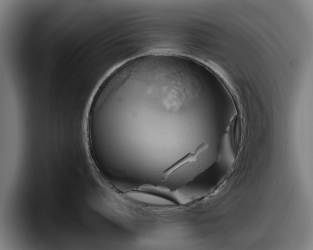 X0000097830864200803201456