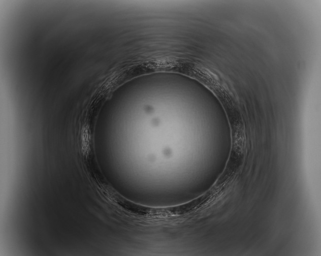 X0000097830866200803201456