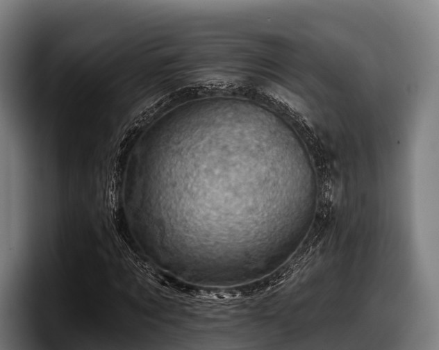 X0000097830869200803201456
