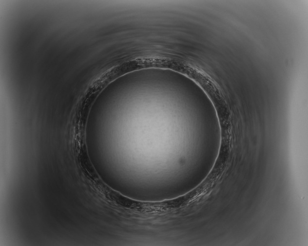 X0000097830870200803201456