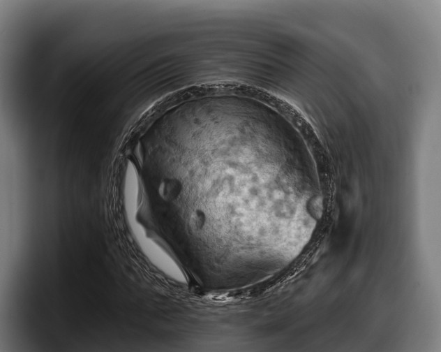 X0000097830871200803201456