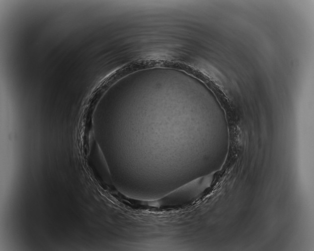 X0000097830872200803201456