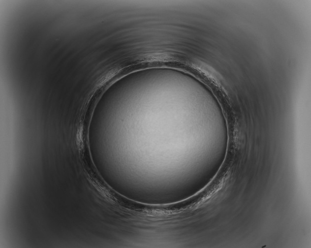 X0000097830873200803201456