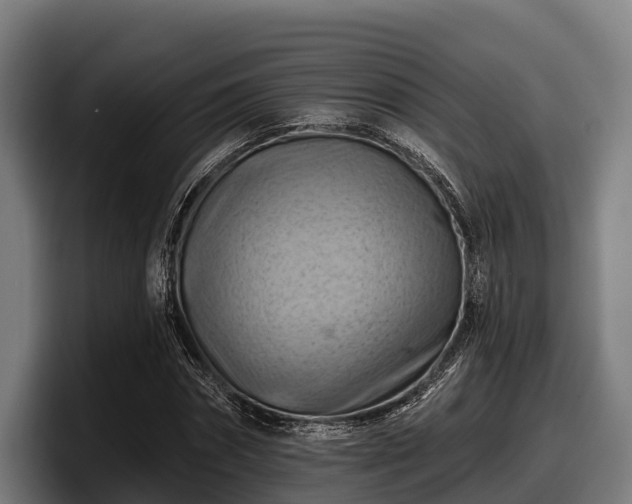 X0000097830874200803201456