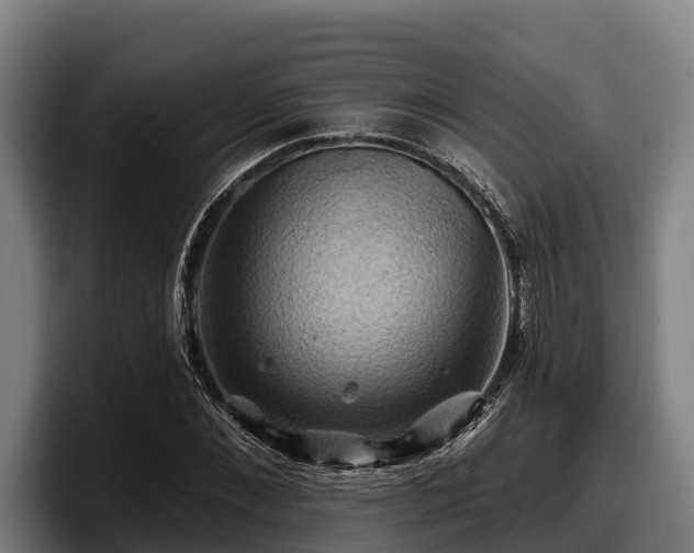 X0000097830876200803201456
