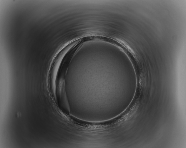 X0000097830877200803201456