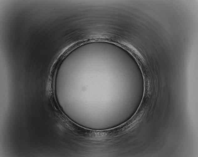 X0000097830878200803201456