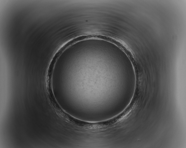 X0000097830879200803201456