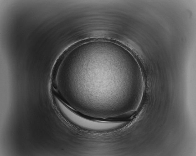 X0000097830880200803201456
