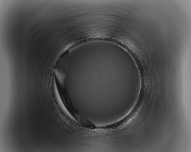 X0000097830881200803201456