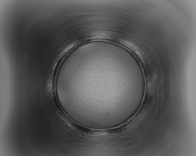 X0000097830882200803201456