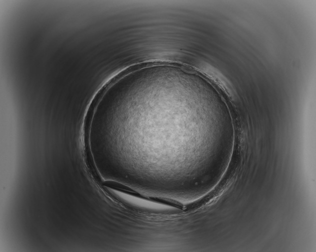 X0000097830884200803201456