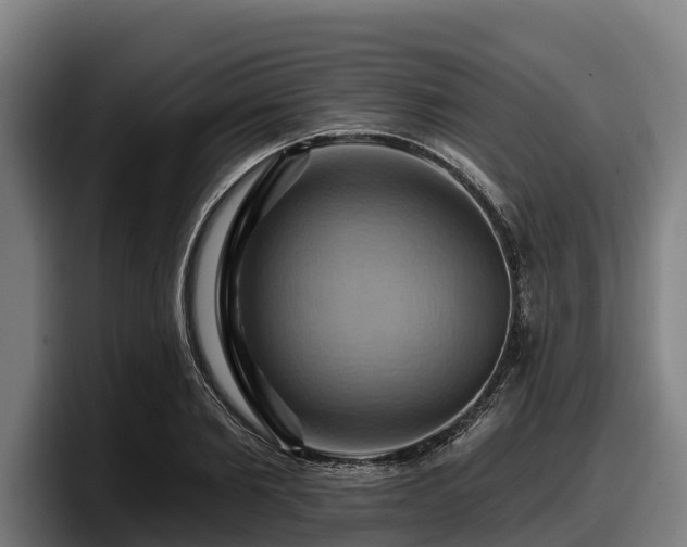 X0000097830885200803201455