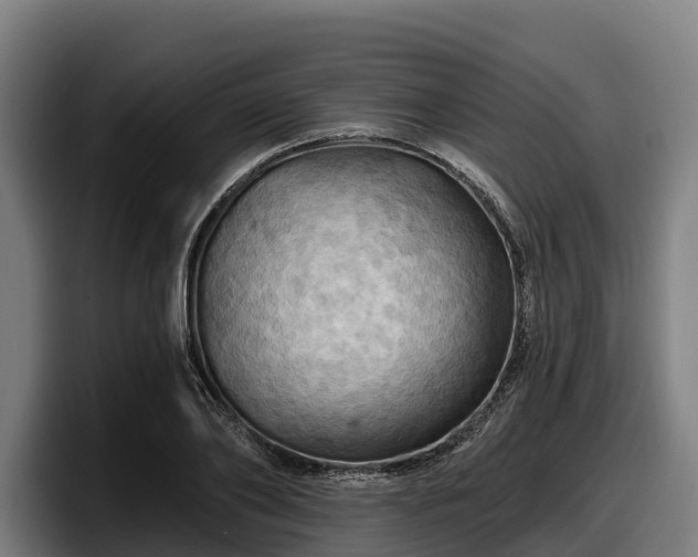 X0000097830886200803201455