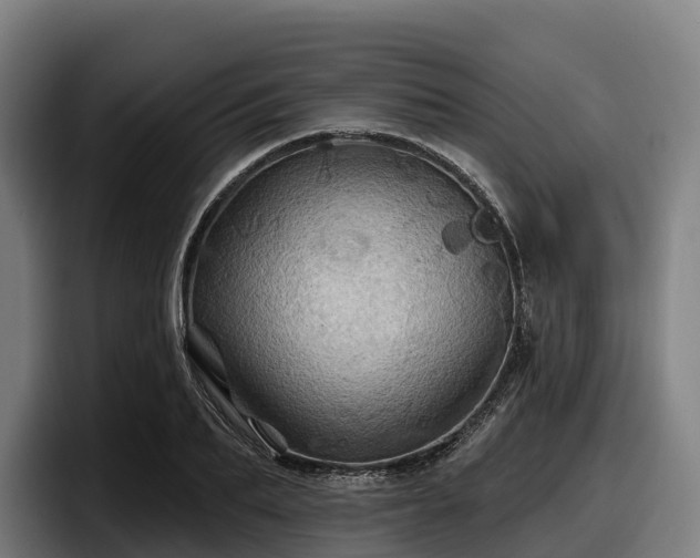 X0000097830887200803201455