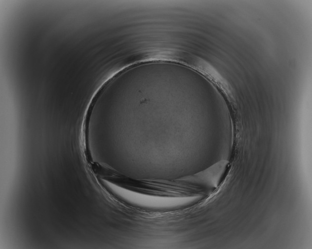 X0000097830892200803201455