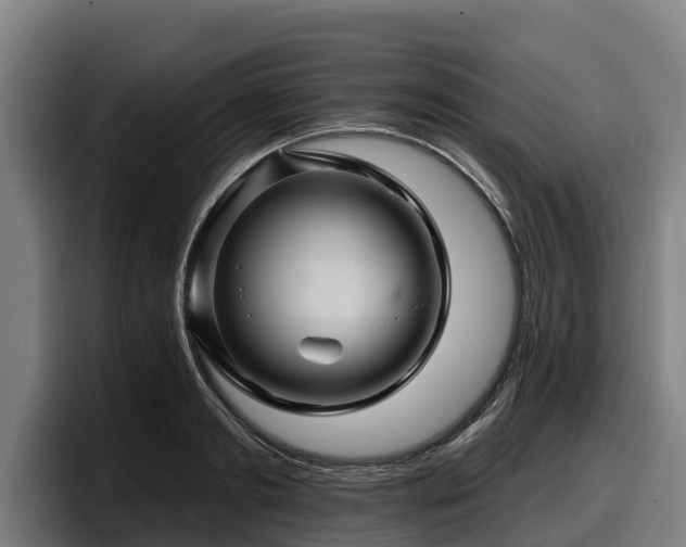 X0000097830893200803201455
