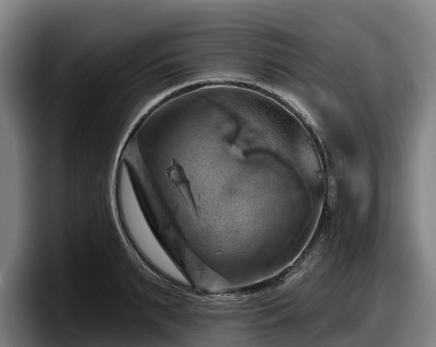 X0000097830895200803201455