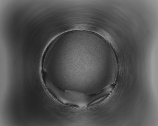 X0000097830896200803201455