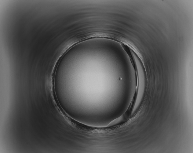 X0000097830898200803201455
