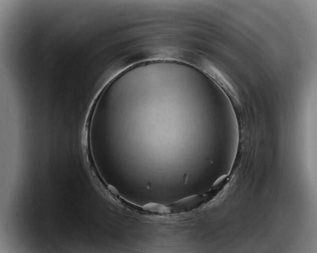 X0000097830900200803201455